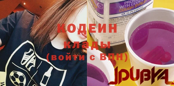 2c-b Новозыбков