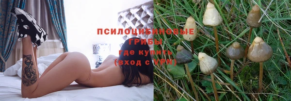 круглые Новокубанск