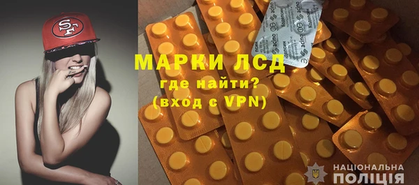 спайс Новодвинск