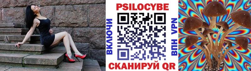 Галлюциногенные грибы Magic Shrooms  ссылка на мегу tor  Ярославль 